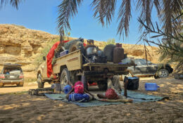 Socotra_2025 (70/76)